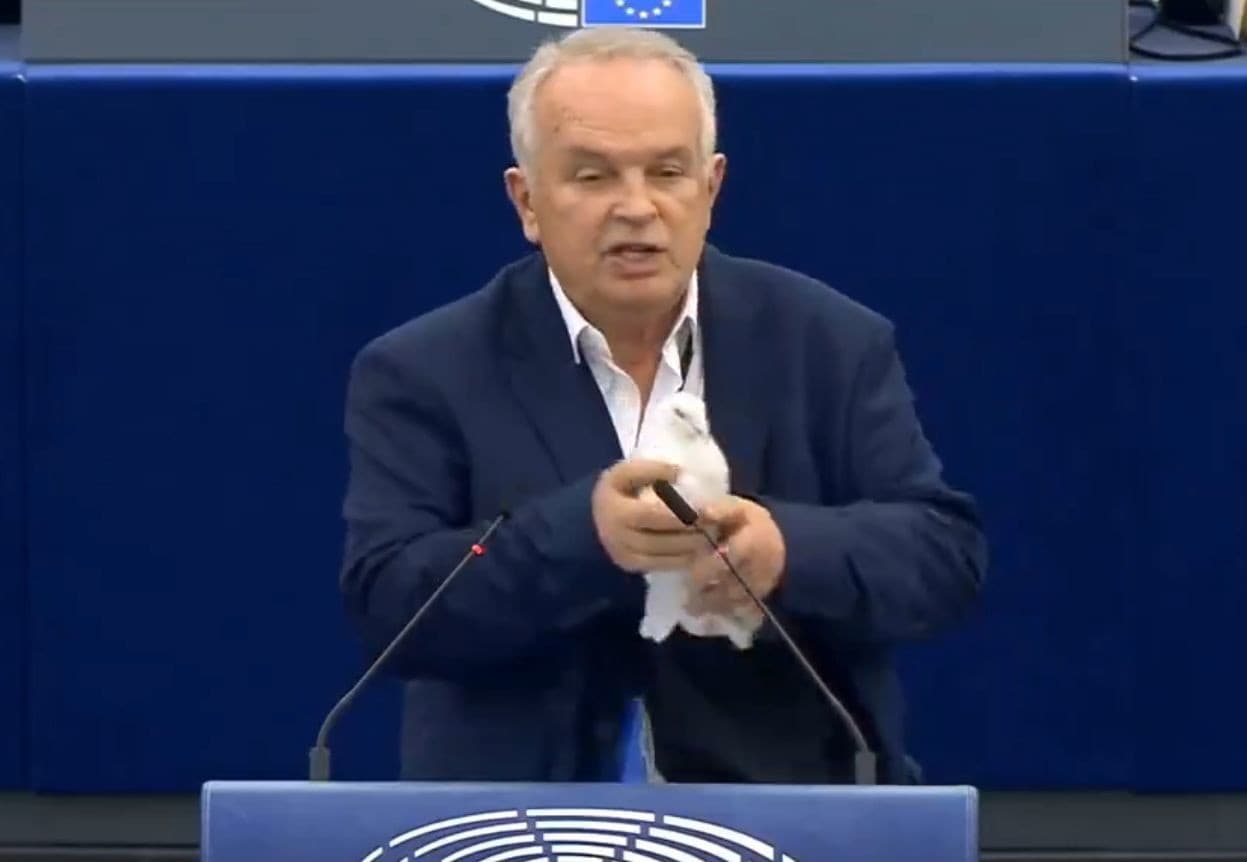 Miroslav Radačovský počas svojho prejavu vypustil holubicu.