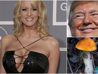 Stormy Danielsová v talkšou