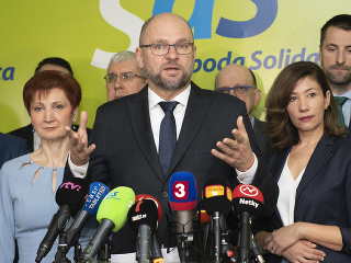 VOĽBY 2020 Šéfkou poslaneckého