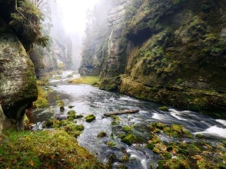 Národný park bije na