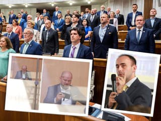 TRAGIKOMÉDIA v koalícii! Hlasovanie