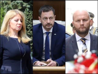 Reakcie politikov na vstup