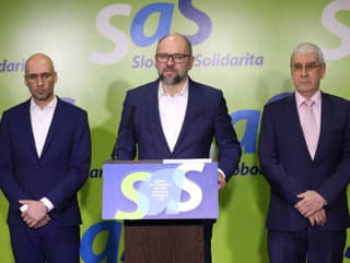 Richard Sulík