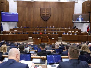 MIMORIADNE V parlamente to