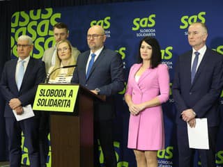 SaS považuje situáciu s