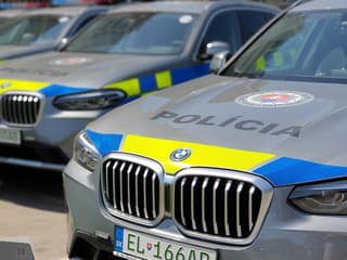 Polícia zadržala v Mojmírovciach