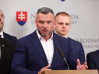Hnutie Republika súhlasí so