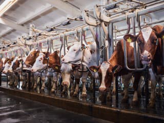 Štátna veterinárna a potravinová