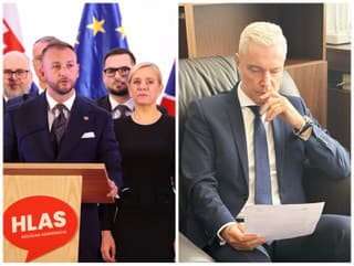 Pomsta za ústavu a